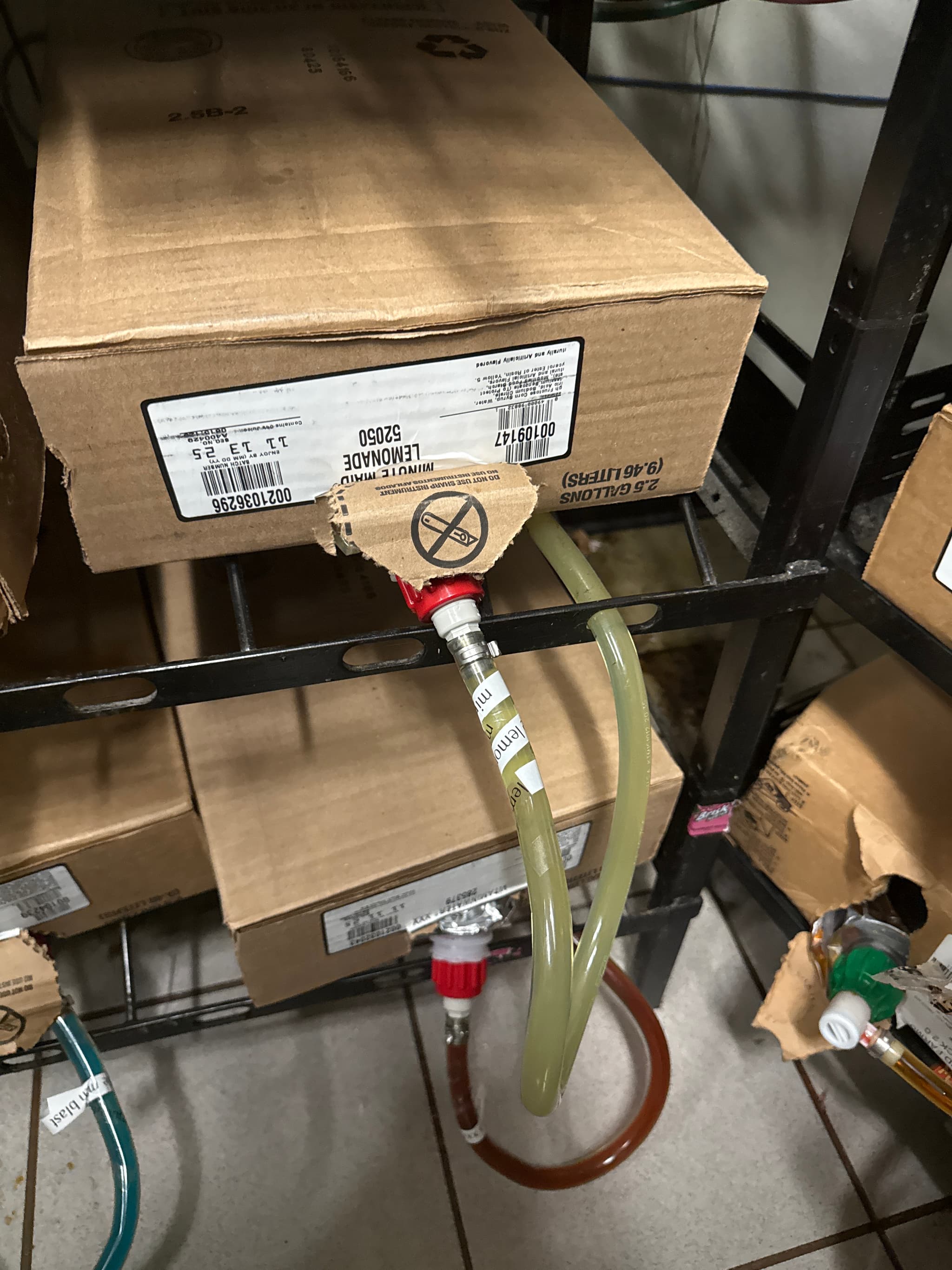 F9G0uyKXQZKFHidtx-rt2g